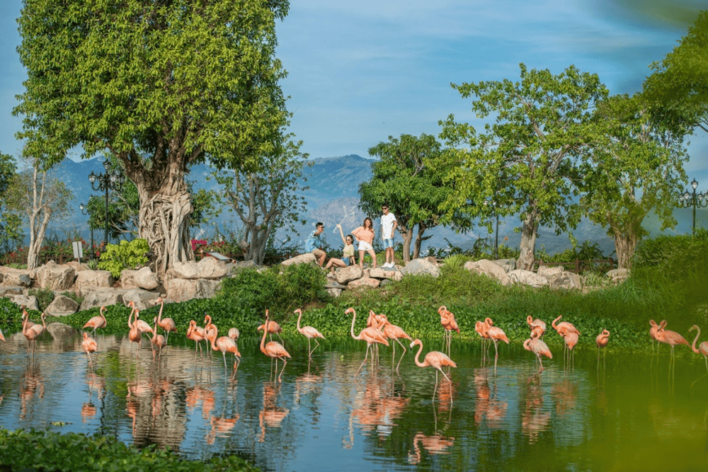 The King’s Garden at VinWonders Nha Trang is home to rare species like white Bengal tigers, African antelopes, and South American parrots (Source: VinWonders Nha Trang)